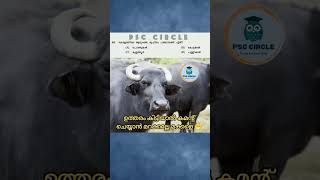 കിട്ടിയോ? 😁 #psccircle