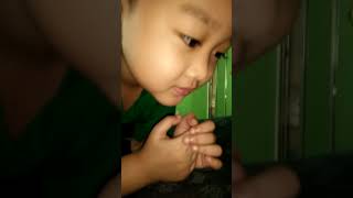 mooselol01