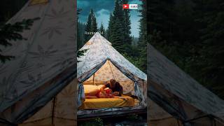 🌧️ Rain For Sleep Cozy Ambience with Natural Rain Sounds 127 #CozyRain #asmrrain #rainsounds