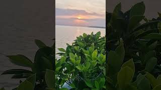 Sunset 🌇 #anime #animeedit #music #weeb #travel #edit #tigerspotted #bhopalvlogs