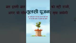 #tulsipuja #tulsivivah #srivishnu #tulsimata #gharkitulsi #trendingreels