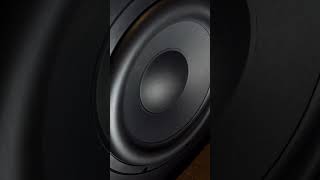 ONLY 1 IN INDIA | ADEPT AUDIO ADS12 | #dcinema #shorts