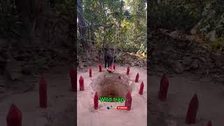 Animal trap . #forest #wildlife #desertsafari #shorts #youtubeshorts #amapianodancechallage