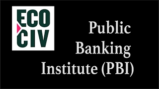 Public Banking Institute Interview
