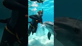 Animals are asking for help #wildliferescue #wildrescue