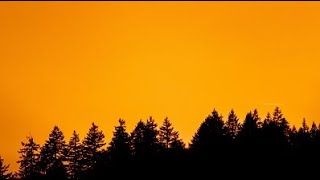 [ SAD LOFI BEAT, NO COPYRIGHT ] NATURE CHILLOUT [FREE USE MUSIC] middle child - dont lose heart