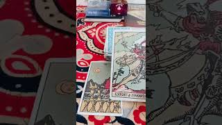 are they miss you #shortvideo #yuotubeshorts #virel #yshorts #hinditarotcardreading