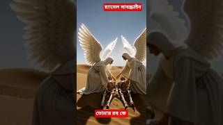 #তোমাররবকে #tomarrobke #ভাইরালভিডিও