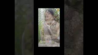 Indian Bridal Jewellery Collection 😲😲😲 #shorts