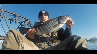 Quick Striper Fishing Trip on the Elizabeth River