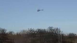 T-Rex R/C Heli Flying