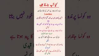 General knowledge #shorts #generalknowledge #gkmcqs