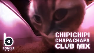 Chipi Chipi Chapa Chapa Club Mix 2024 -  Boniya beats  Remix
