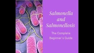 Salmonella and Salmonelliosis A Complete Beginner's Guide