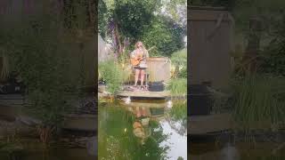 Cozy pond gigs #singersongwriter #folk #acousticversion #songwriter #newmusic #newmusic