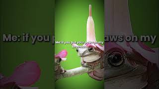 I luv FROGS!!!:) 10 subs special #capcutisback #frogs #snakes #trending