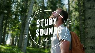 Relaxing Study Music ~ Optimize FOCUS & STUDYING ~ Ambiance Study Sounds - ALPHA Brain waves!