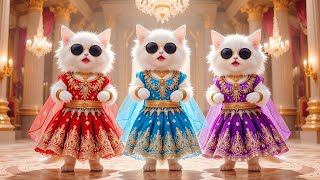 Cute Cat videos funny dance🤣💃Videos for cats | बिल्ली डांस | cutest cat dance  @cartoonAi32M