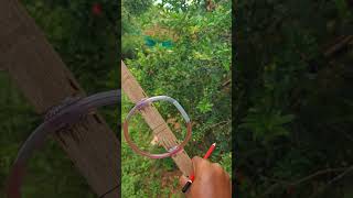 Super idea!💡Home made sprit level🤯 #tips #tricks #short