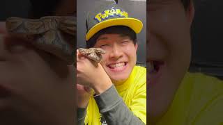 こっそり買った蛇が妻にバレてしまいました…