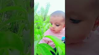 Tabshamshad saifi baby 🐥🍼🍼🍼🍼 #love #song #blackscreenlyricshindi #lovesong