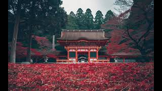 Koto Dreams Lofi Beats | Relaxing Japanese Instrumental for Study & Focus Japanese Chill Beats