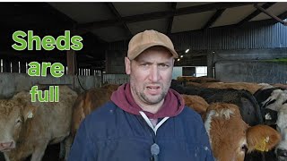 What's in my sheds....??