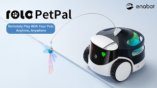 ROLA PetPal by Enabot. Remotely Play With Your Pets - Anytime, Anywhere.