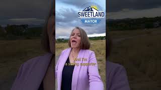 Why vote for Christine Sweetland for Centennial Mayor? #beavoter #centennial #votelocal