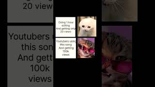 #cat #cute #kitten