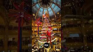 Paris is ready for Christmas! 😍🧠 #shorts #christmasdecor #france #paris #frenchlifestyle #lifestyle