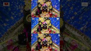 Seek wisdom, find peace: Bhaja Govindam 🙏 #SpiritualVibes #TimelessWisdom