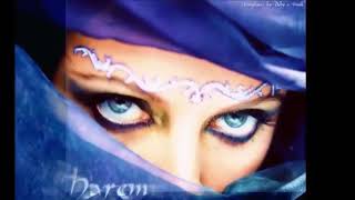 HABIB LOVE SONG