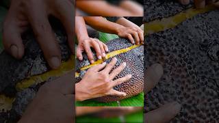 #FoodieForLife#DeliciousEats#FoodStories#EatingWell#FoodAdventures#FoodJunkie#FoodGoals