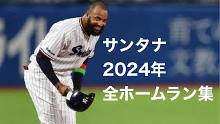 D.サンタナ　全ホームラン17本　2024年