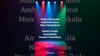 Peelings Song Pushpa Lyrics in English | Peelings Telugu Lyrics | Malayalam Tamil | Pushpa Lyrical