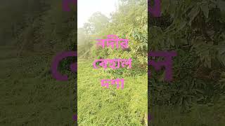 ♥️♥️♥️ #banglamoviesong #banglasong #banglavideosong