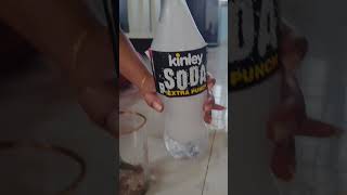 soda🥤🥤#viral #shortsviral #trending #trendingshorts #shalu pandeyy#youtubeshorts