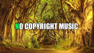vlog background music non copyrighted // free background music for youtube videos #vlognocopyright..