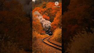 #chukchuk #shortvideo #shortsfeed #shortsviral #short #trendingshorts #trending #viralvideo #foryou