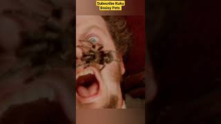 Real spider 🕷️ movies|#velociraptor#dinosaur#jurassicworld#jurassicpark#spider#homealone#spiderman