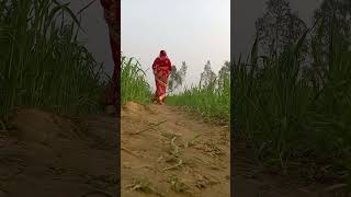 লাল শাড়ি। #shorts #music #love #pakistan #prank #pubgmobilelite