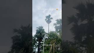 Just romanticising the rain 😍 #rainyday #rainyweather #rainyvlog