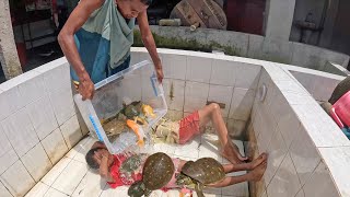 Aquarium Fish Tank Cleaning Hacks (Amazing Relaxing Fish Video 4K Ultra HD)