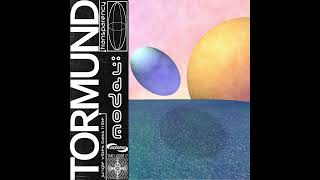 Transparency Model -- Tormund