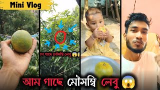 আম গাছে মৌসুম্বি লেবু 😱 Jaz Boni 🍋 Mini Vlog