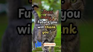 From Lazy to Legendary 🐱 | Funny Cat Motivation #shorts  #Motivation #LifeGoals  #lifetipsandtricks