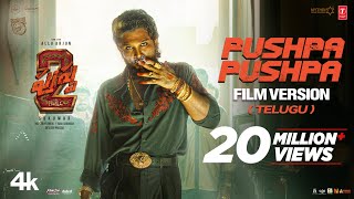 PUSHPA PUSHPA Telugu Film Version - Pushpa 2 The Rule | Allu Arjun | Sukumar | DSP