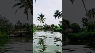 #alleppeybackwaters #alleppey #kerala #nature #travel #backwatersofkerala #india #trendingreels