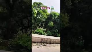 #zarooratrishta #bollywood #tereliyehumhaijiye #song #shortvideos #shorts